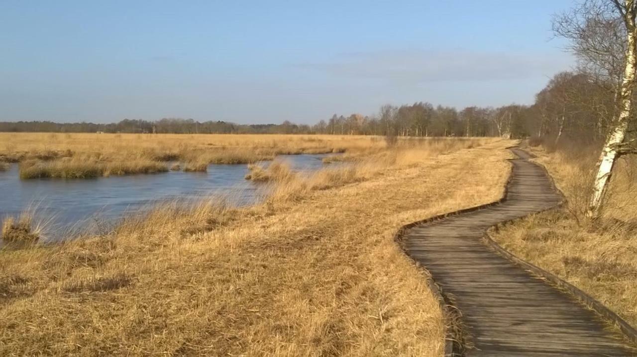 Ferienwohnung Kornew Dornum Bagian luar foto